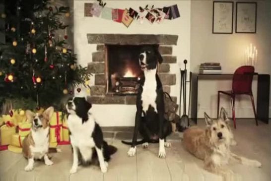 Chiens chantent Jingle Bells