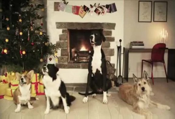 Chiens chantent Jingle Bells