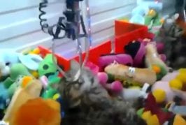 Luna park mode expert