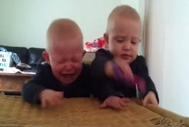 Deux jumeaux pour une brosse à dents