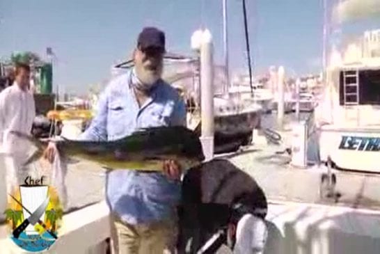 Pêcheur se fait voler un énorme poisson par un phoque