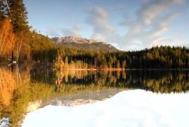 Réflexion proche de la perfection