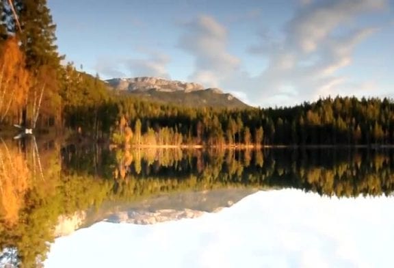Réflexion proche de la perfection