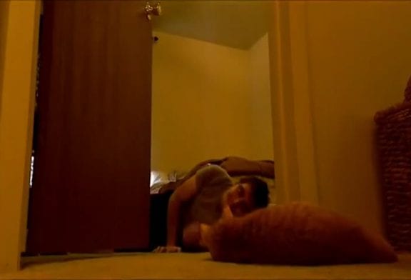 Le chat le plus ennuyeux du monde