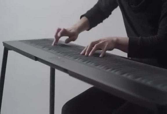The Seaboard