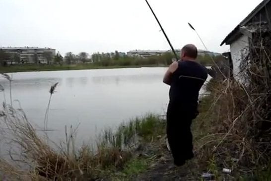 Ne pas pêcher à coté de chats