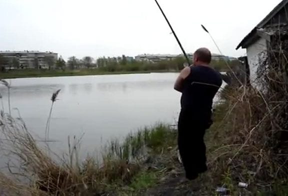 Ne pas pêcher à coté de chats