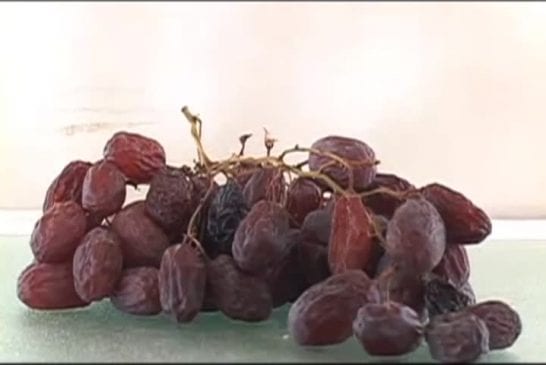 Raisins secs en Time Lapse