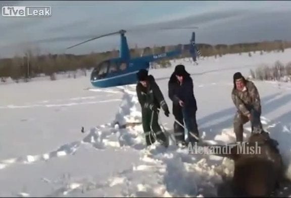 Compilation de gens qui sauvent des animaux