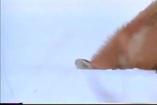 Renard attrape une souris 60cm sous la neige