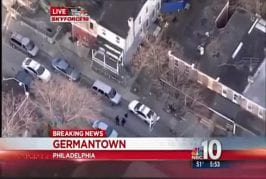 Chiens s’accouplent en direct à la télévision