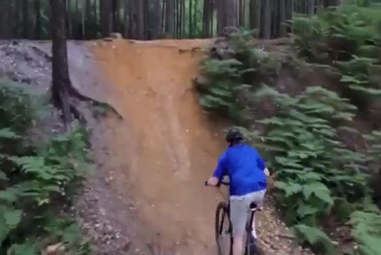 Majestueux VTT Fail