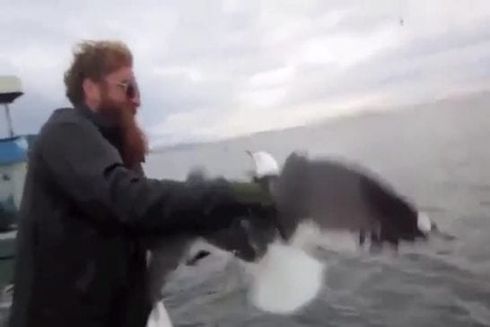 Pêcheur attrape un oiseaux en plein vol