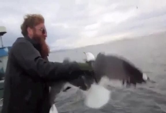 Pêcheur attrape un oiseaux en plein vol