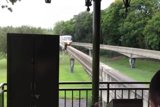 Ecureuil fait arrêter le mono-rail de Disney World