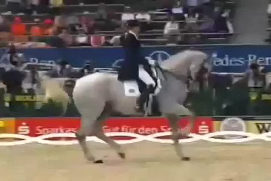 Danse hip-hop avec un cheval