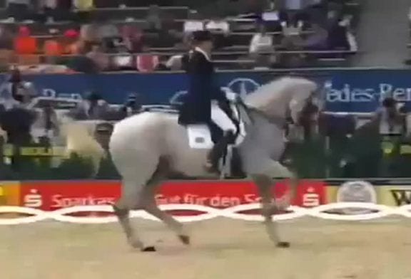 Danse hip-hop avec un cheval