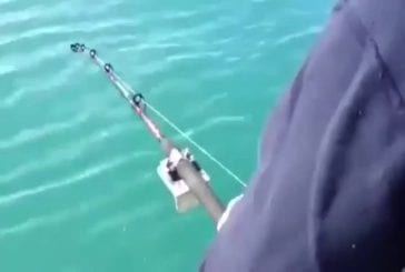 Pêcheur attrape un poisson trop gros pour lui
