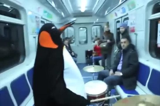 Pingouin fait un solo de batterie dans le métro