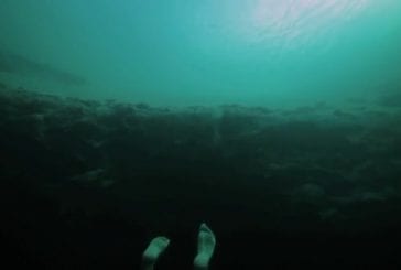 Terrifiant saut sous-marin