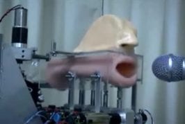 Bouche robotique