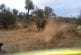 Attaques d’éléphants durant un safari en Jeep