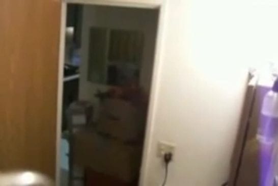 Blague de la farine dans le sèche cheveux