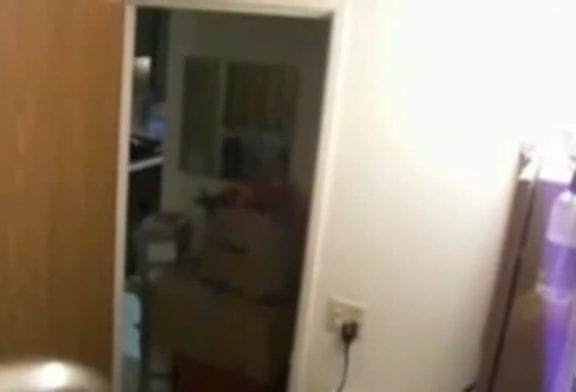 Blague de la farine dans le sèche cheveux