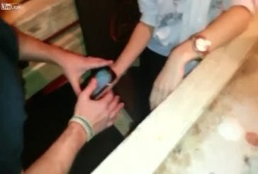 Blague terrifiante du cafard dans un restaurant russe