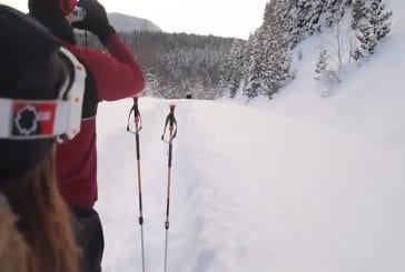 Enorme élan traverse dans la neige profonde devant un groupe de skieurs