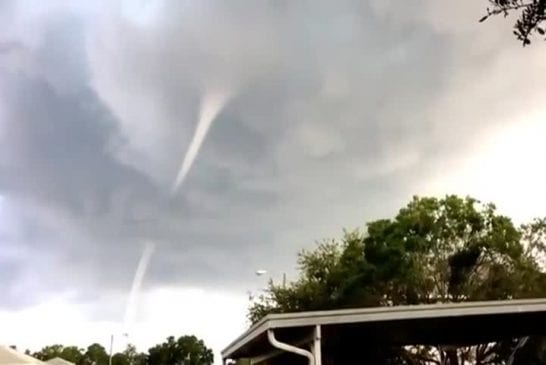 Incroyable formation de watersprout en Floride