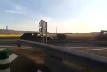 Taureau attaque les voitures sur l’autoroute