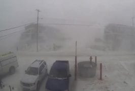 Se promener dans l’Arctique durant une tempête de neige