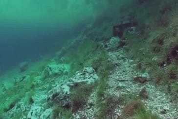 Plongée sous-marine dans un pré