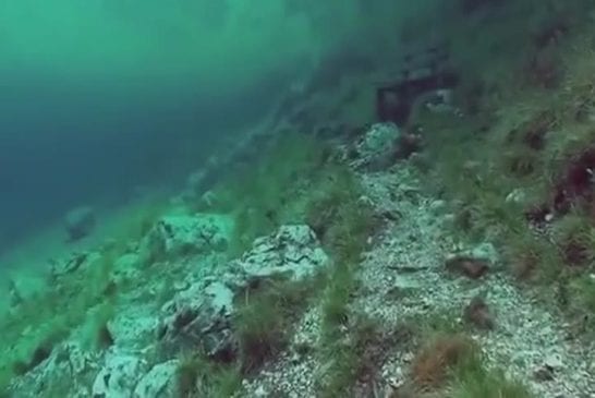 Plongée sous-marine dans un pré