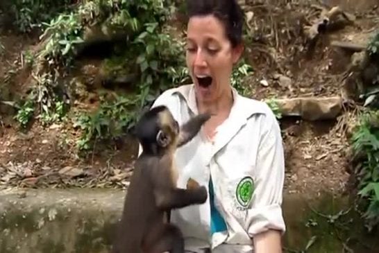 Mignon petit singe partage sa nourriture avec une fille