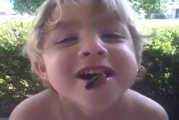 Enfant de 3 ans joue avec une cigale dans sa bouche