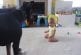 Doberman joue avec un bébé