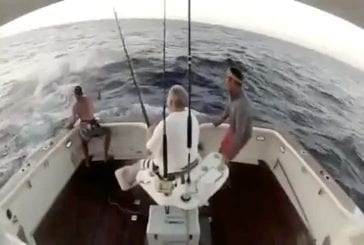 Espadon poursuit un pêcheur sur son bateau