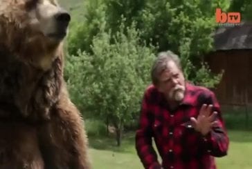 Lutter contre un grizzly dans son jardin