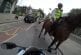 Flic à cheval arrête un motard un peu trop pressé