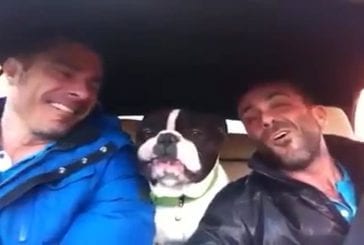 Bulldog chante avec ses propriétaires