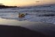 Un legoman mystérieux géant apparu sur une plage japonaise