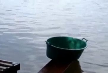 Ce est comment ils pêchent piranhas au Brésil