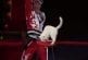 Etonnants chats du cirque russe