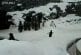 Adorable pingouin joue dans la neige