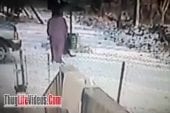 Une femme essaie de chasser un chat pas sympa