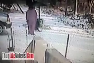Une femme essaie de chasser un chat pas sympa