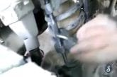 Chat coincé dans un amortisseur de jeep