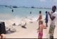 Sauvetage de dauphins sur la plage Burke des Barbades